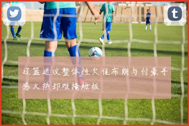辽篮进攻整体性欠佳布朗与付豪手感火热却难掩短板