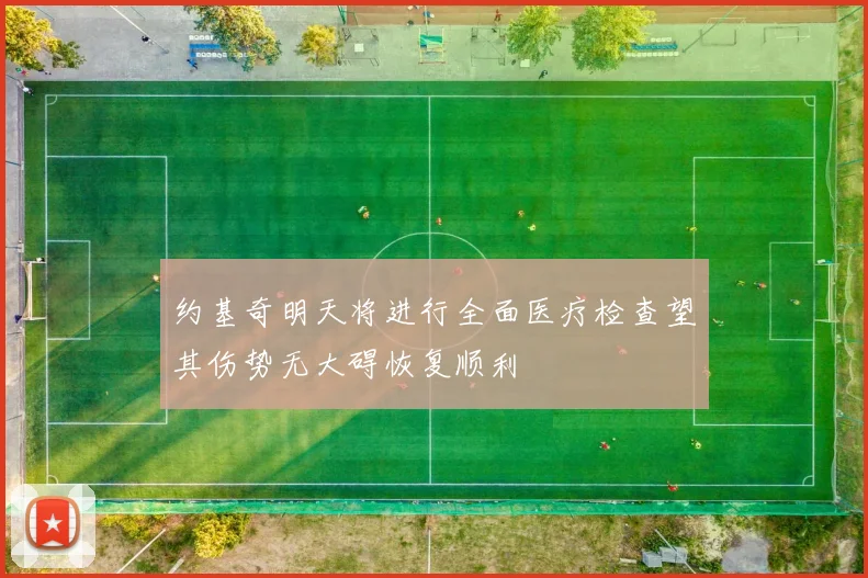 约基奇明天将进行全面医疗检查望其伤势无大碍恢复顺利