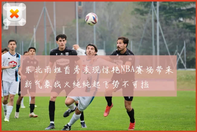 东北雨姐首秀表现惊艳NBA赛场带来新气象我火纯纯起飞势不可挡
